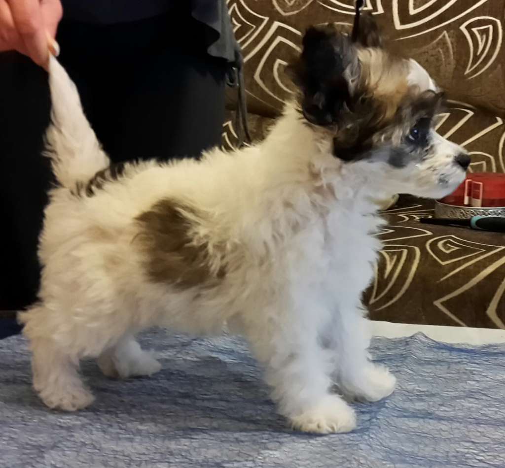 Betti Nimbo Di Gloria