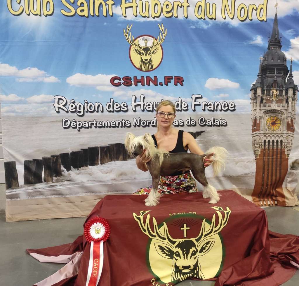 CH. J. Il était Une Fois Rainbow Six