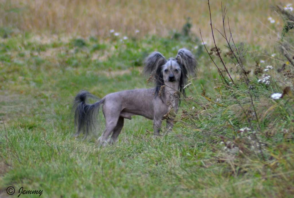 Marppulan AuttamattomanVilkas