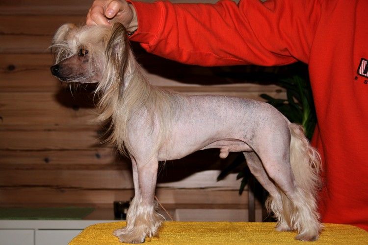 Maybell's Born to Rock