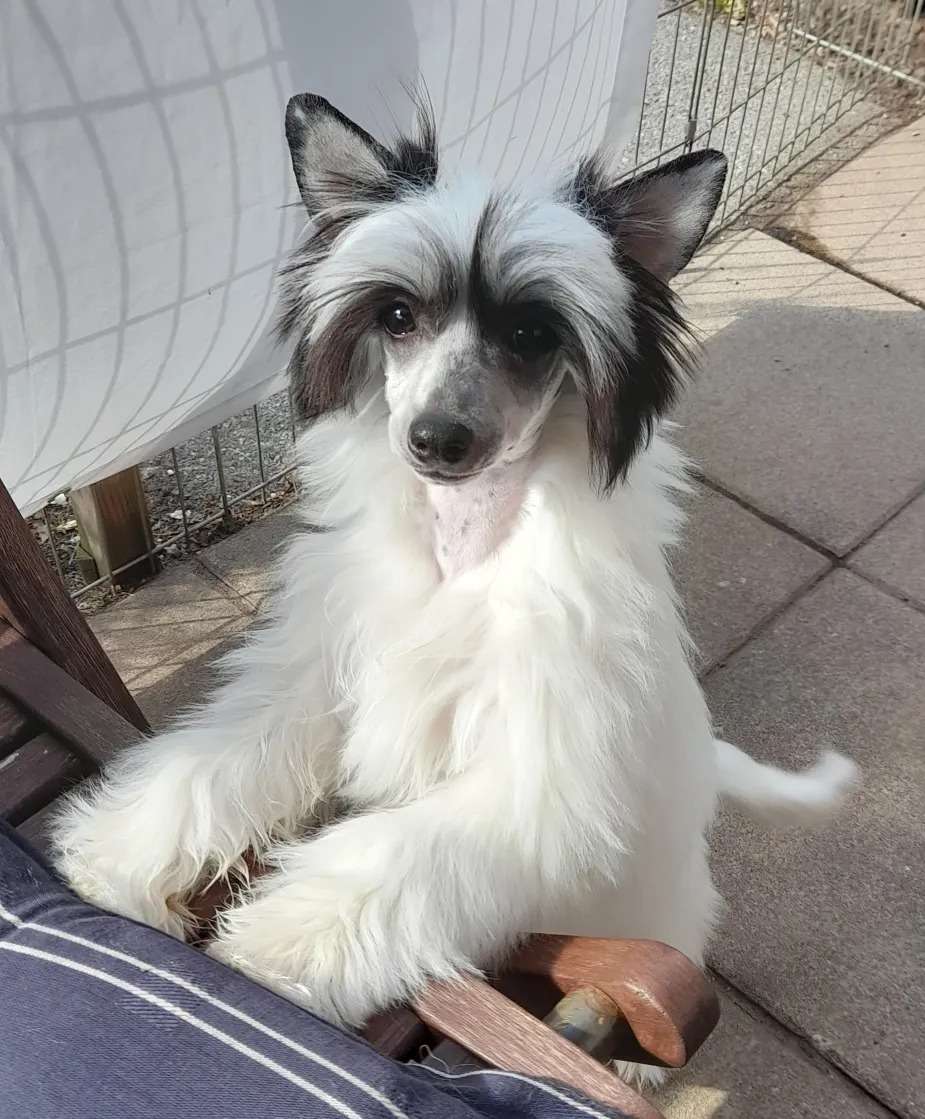 Spotifly I Kissed A Girl