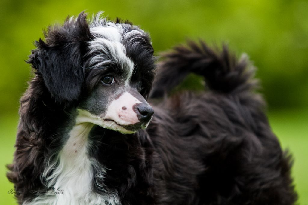 Burton's Break Pretty Sweet