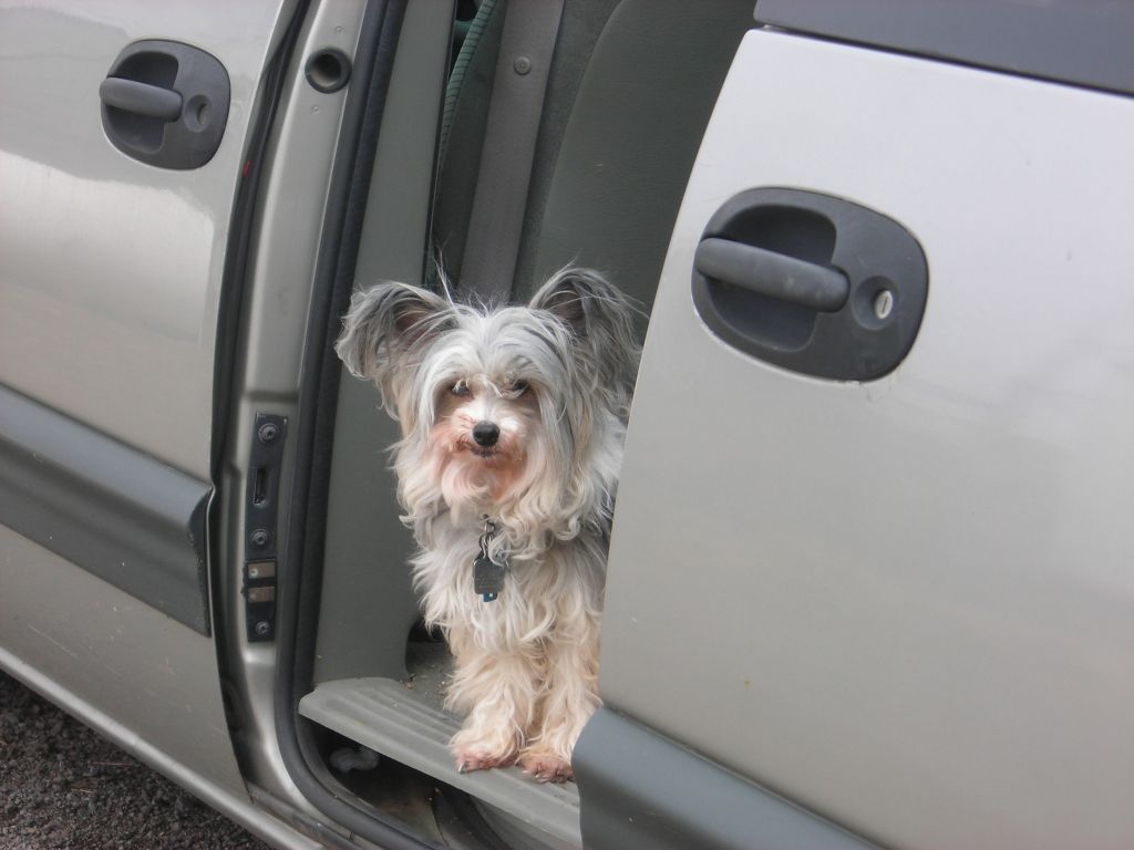 Jubilee's Down The Chimney