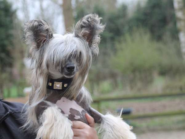 Nossibé Top Model De Rama