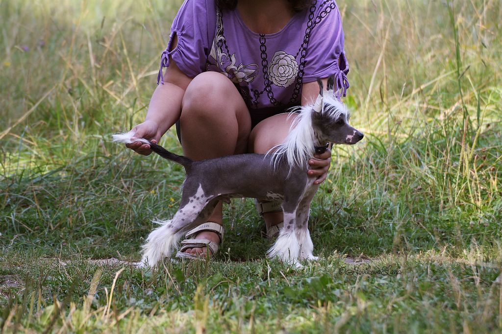 Picture