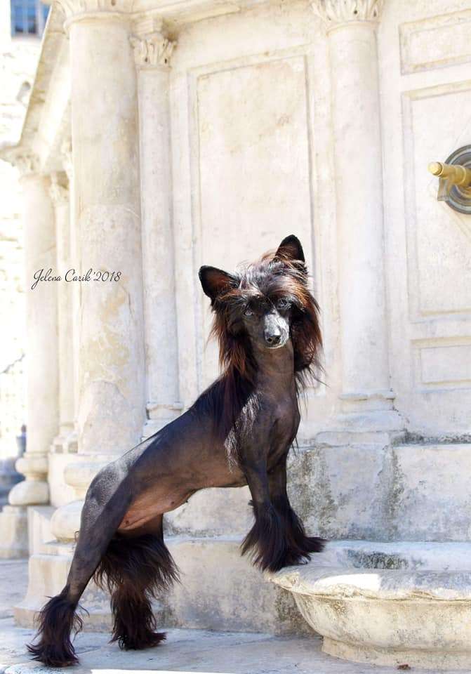 Dakota Rose On This Night Of A Thousand Stars