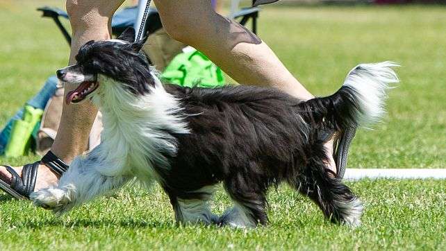 Zero Tolerance Xplicit Sins And Secrets