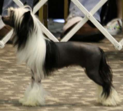 Whispering Lane Rave On