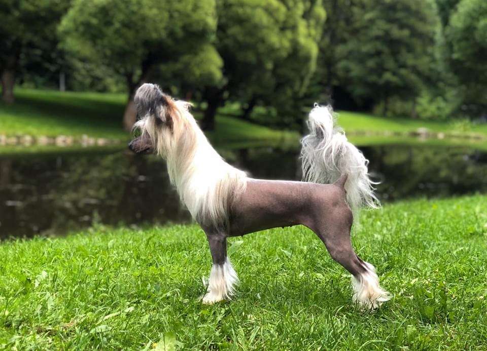 Arte Figure Not A Sinner Nor A Saint