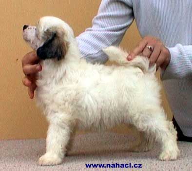 Bianca od Kimovy boudy