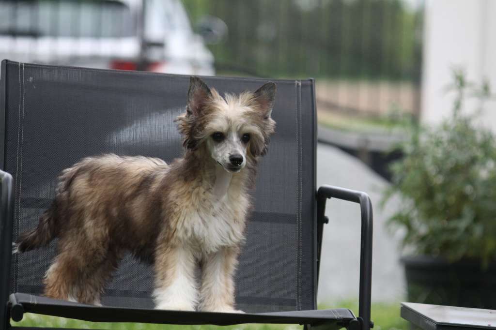 Moon Harbour Tsunami