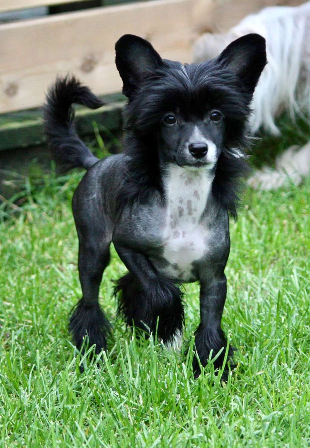 Beyesa's Alright To Love