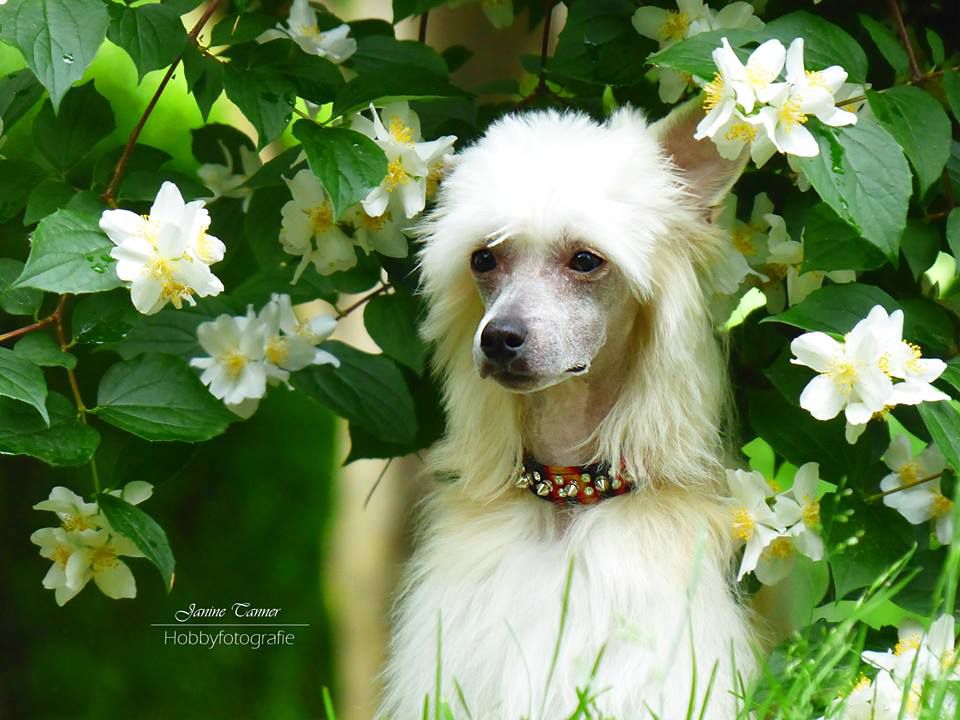 Glam N'Soul  von Shinbashi