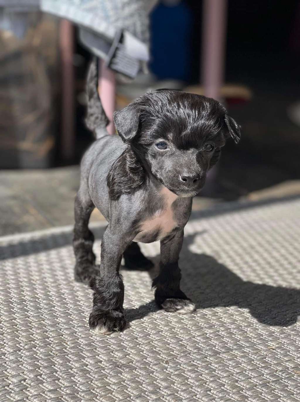 Swerotts Found A Place In The Dirt