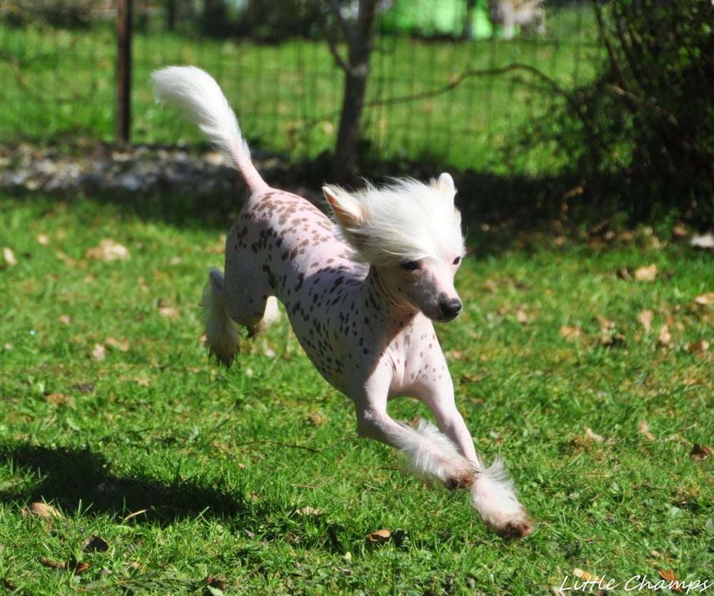 Moon Harbour Skip To Little Champs