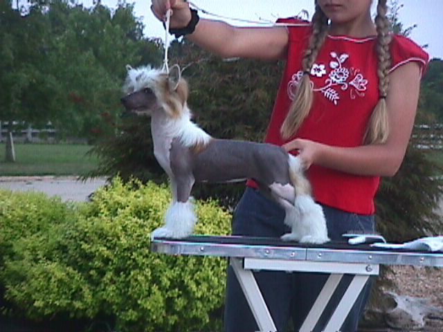 Whispering Lane Redneck Woman