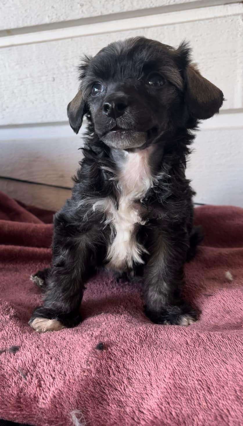 Swerotts Getting Out Of Hand