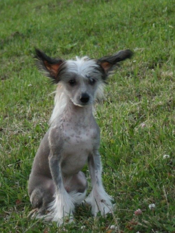 Ksolo Club Hogard Irimy