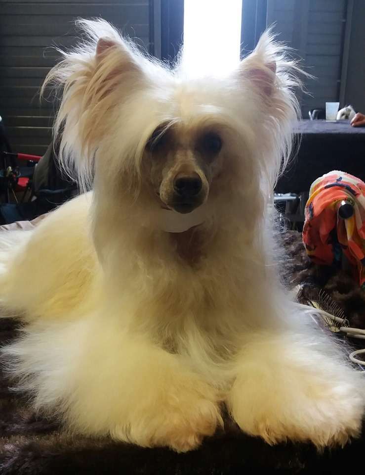 Il était une fois Redhead