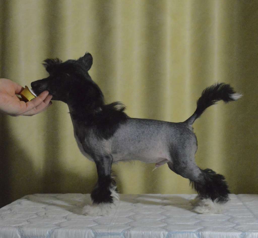 Moelmo?s Back To Back In Black