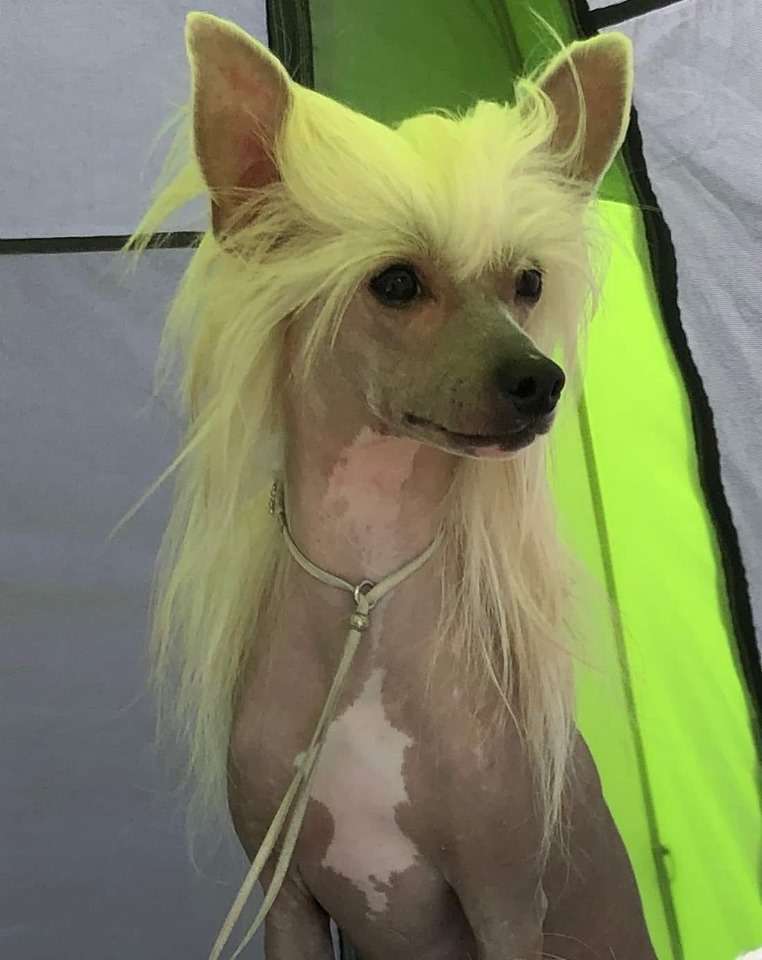 Concrete Clouds To Die For