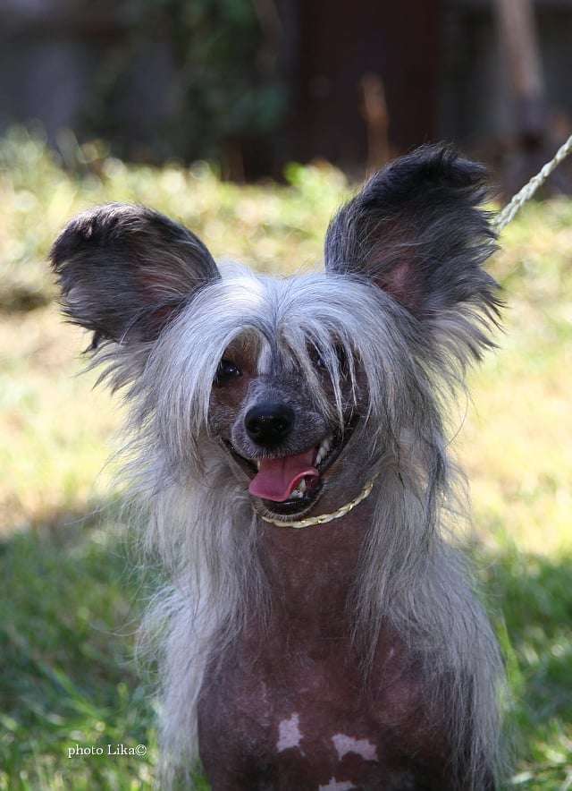 Family Mar'S Jelanna dlya Julianny