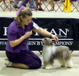 Vahalla's Fudge Ripple O'Kamaji PP