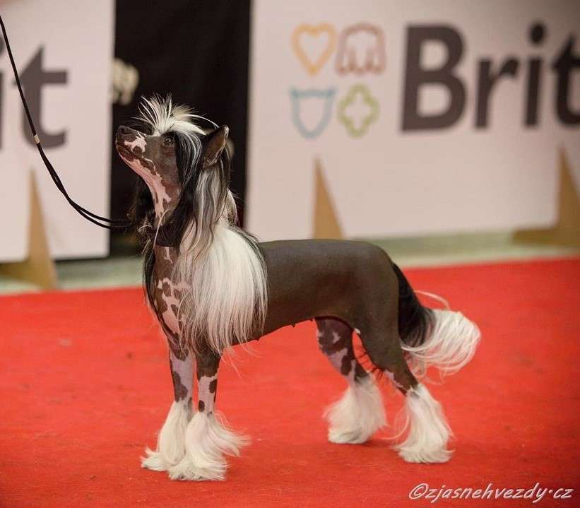 Energy Di Don't Stop Me Now