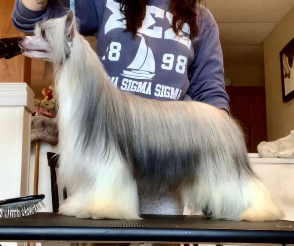 Sunlit N Kellyn Airtight Alibi