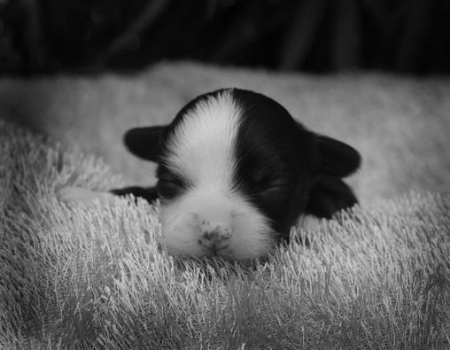 Yaquina's Dark Moment Like This