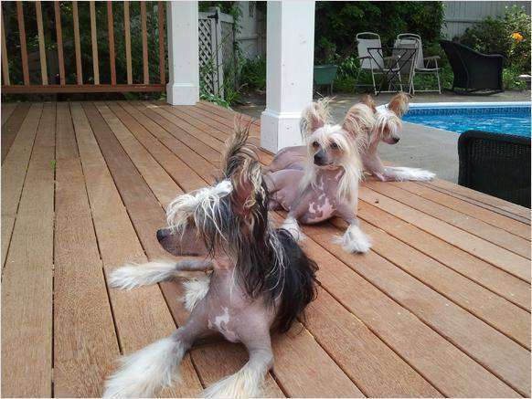 Tofifi Capo Vaticano