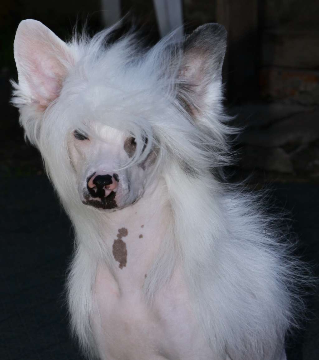 Premier Mari Don Juan