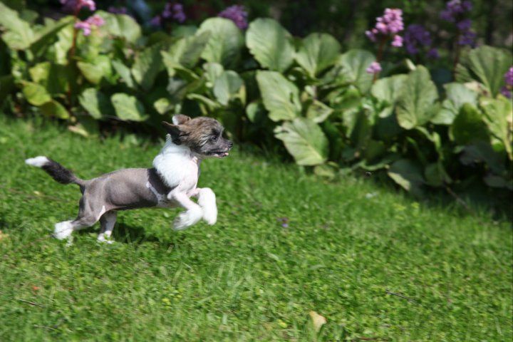 Valanyan Tomb Raider