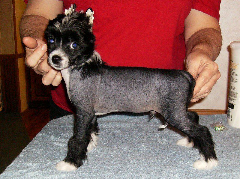 Maju Tell It Like It Is