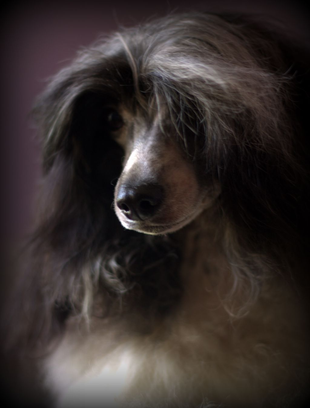 Rash Respekt Habi Nuar