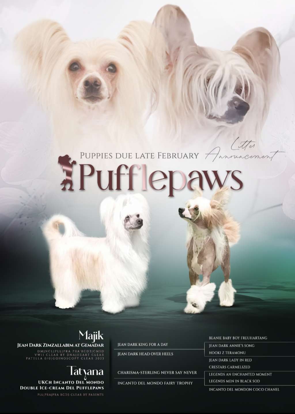 CH Incanto Del Mondo Double Ice Cream