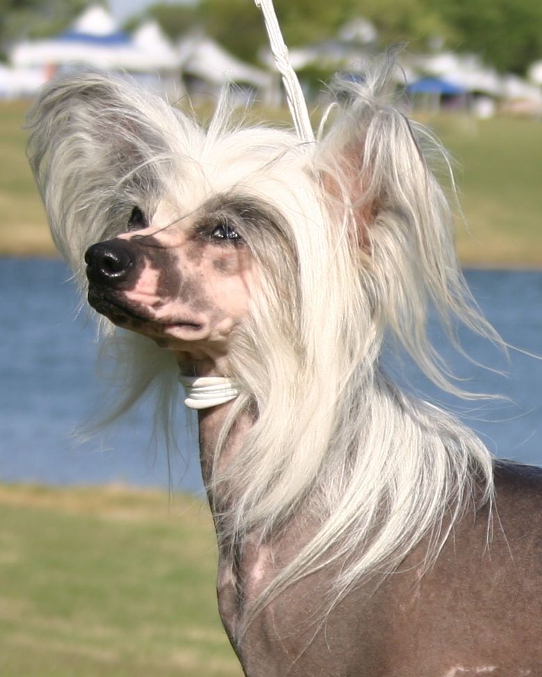 Jewels Lost In Translation