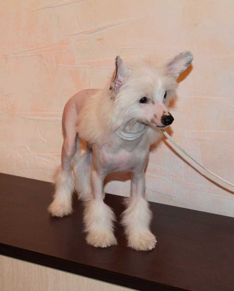 Magnet Success E....