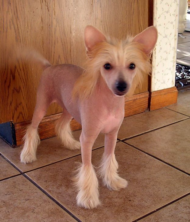 Silver Bluff Simply Irresistible