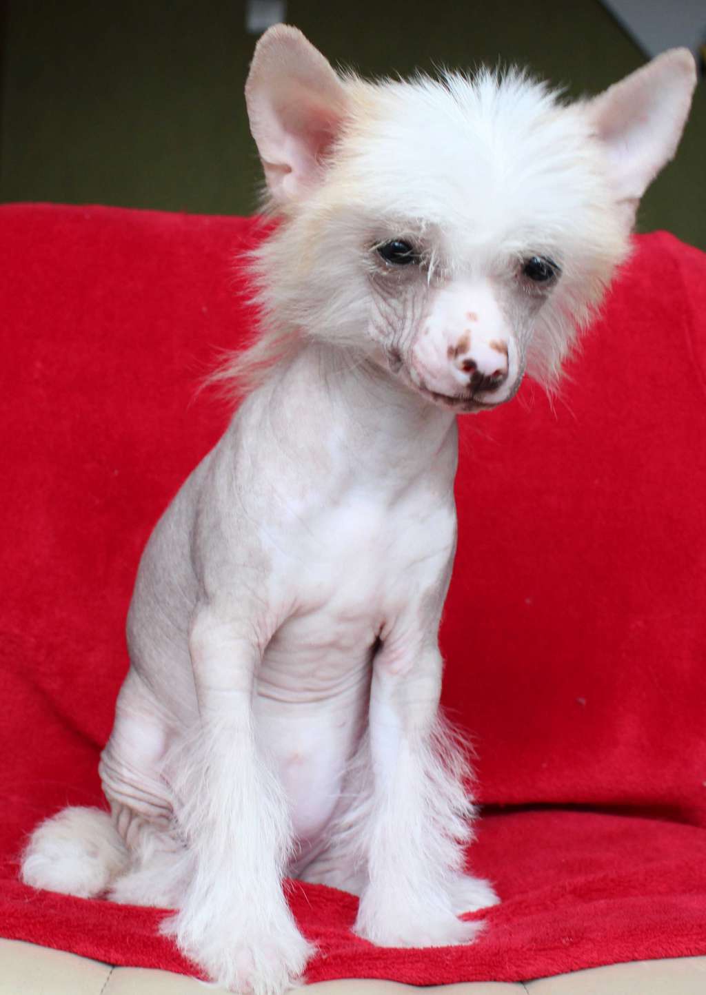 Amber Emma and Natalie' s beauty