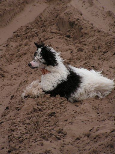Godan Island Shangri-La 