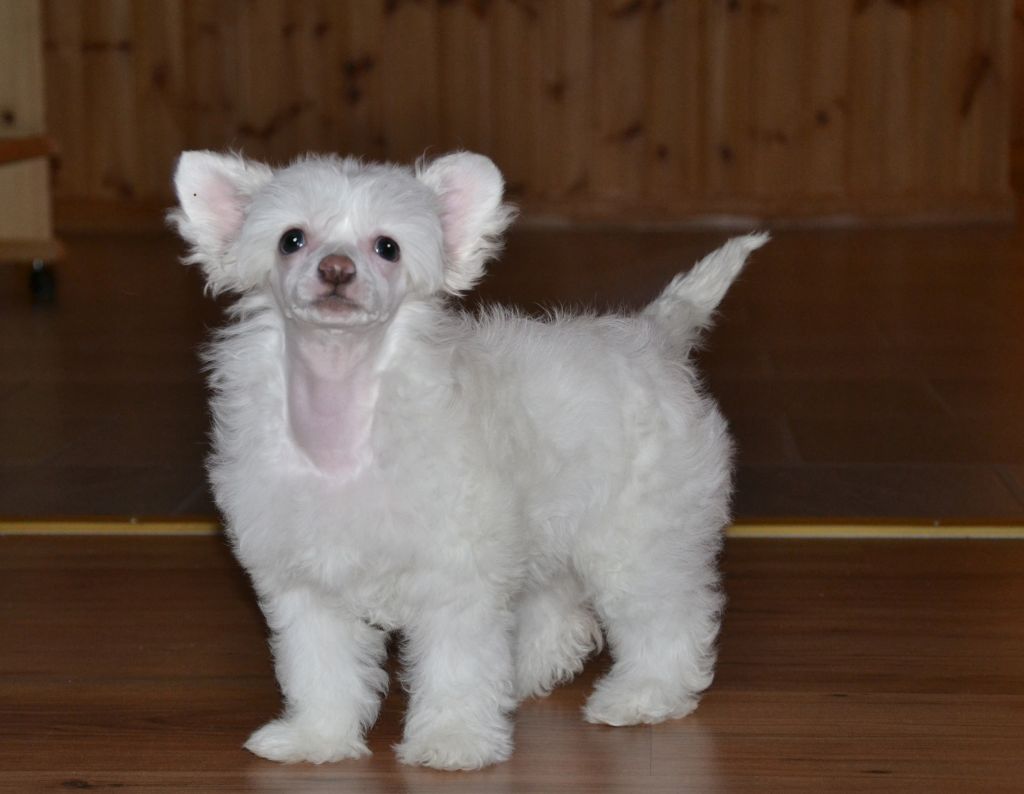 De La Mahafu's GiGlam Kimbely