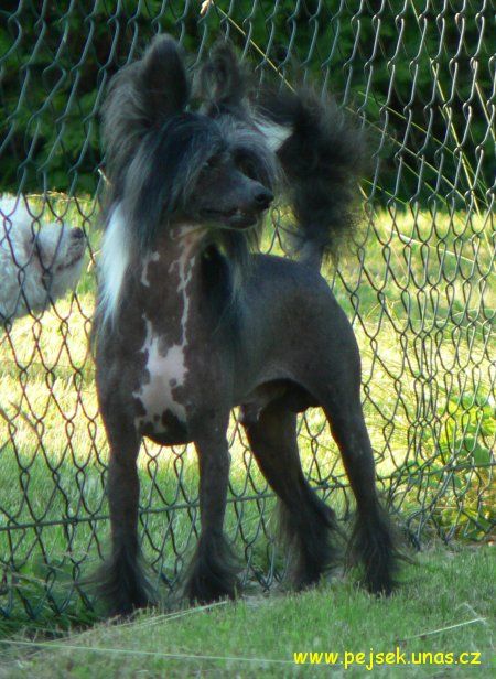 Wanna Talk About No. One N'Co.