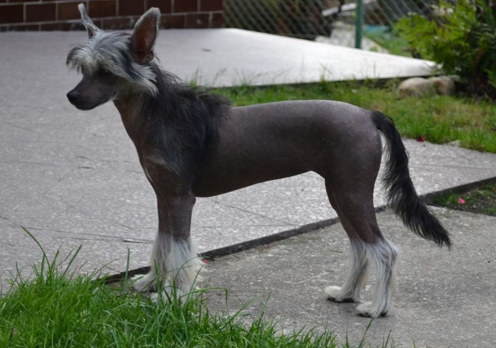 Beáta z Kutských luk