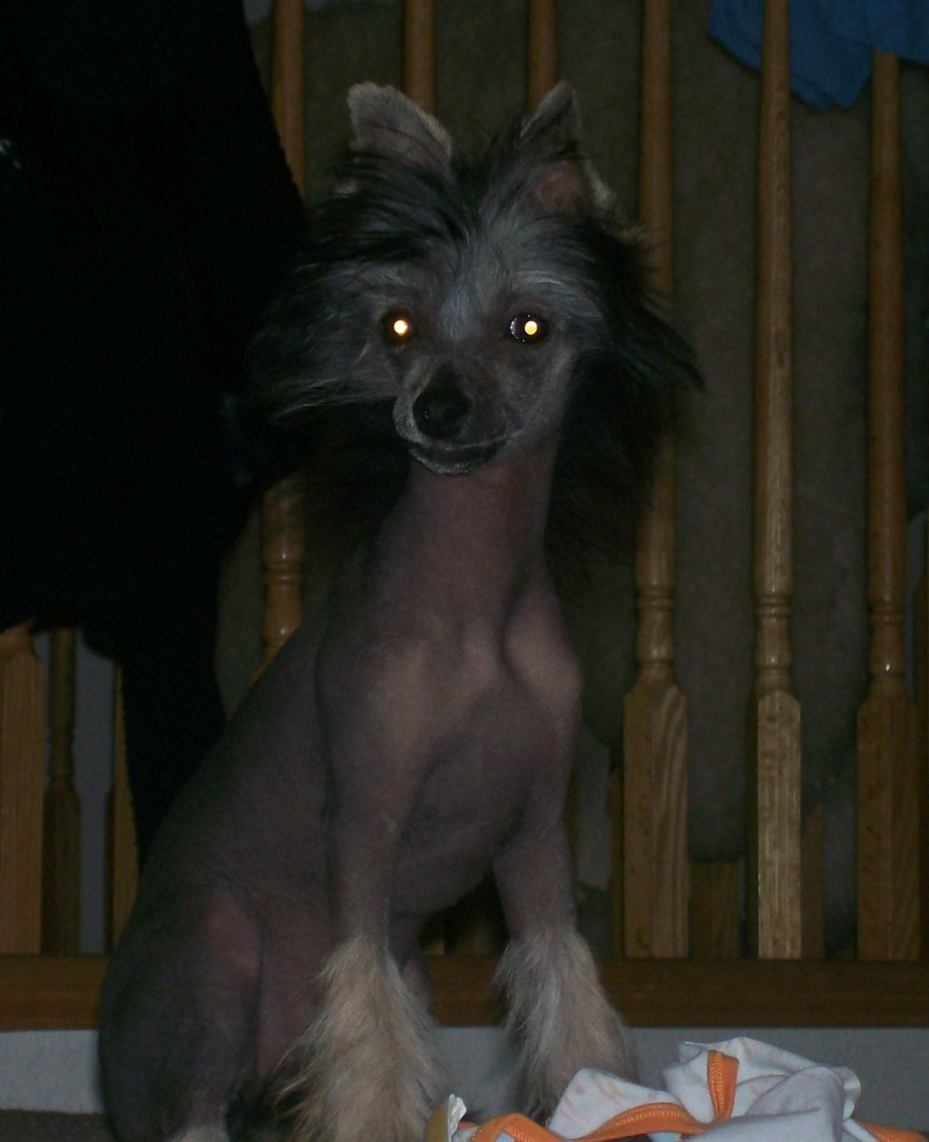 Sundown's Hugs N Kisses from Famfair