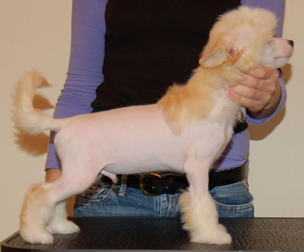 Moonangels Dare To Be Naked