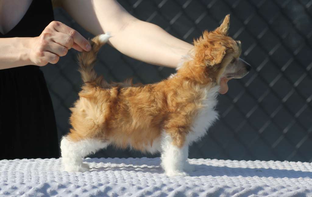 Jestem Jaka Jestem Pretensja