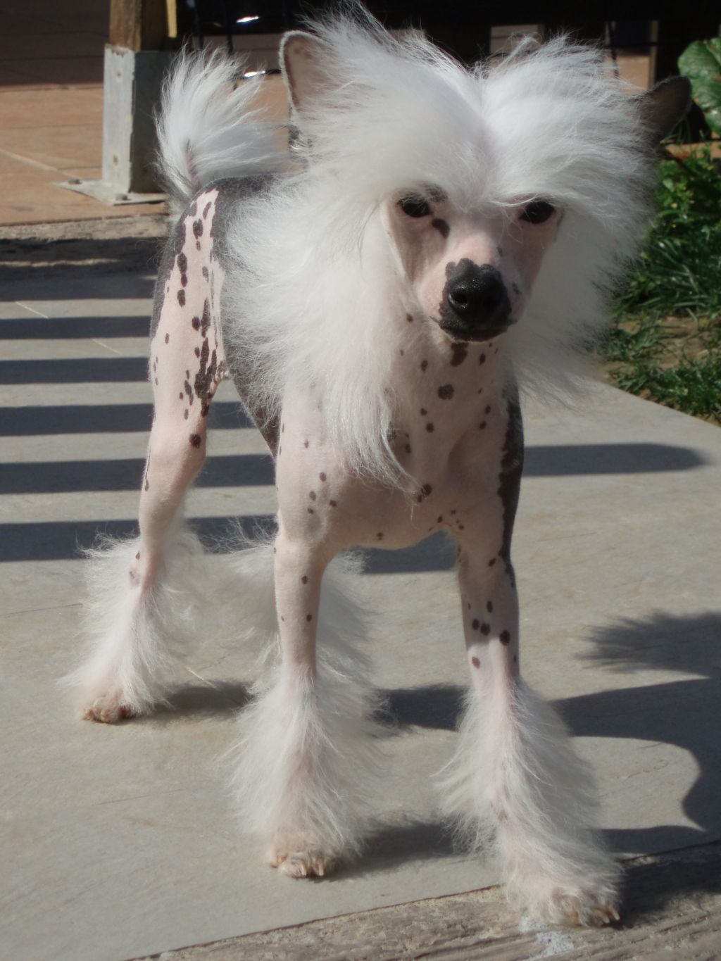 atxarrea the lord of the ring