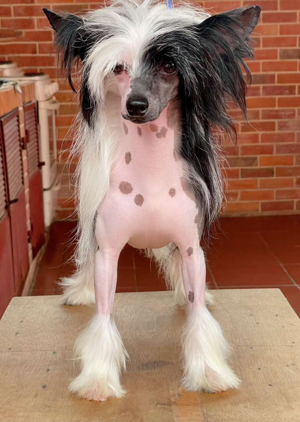 Magic of Success Charming Guy