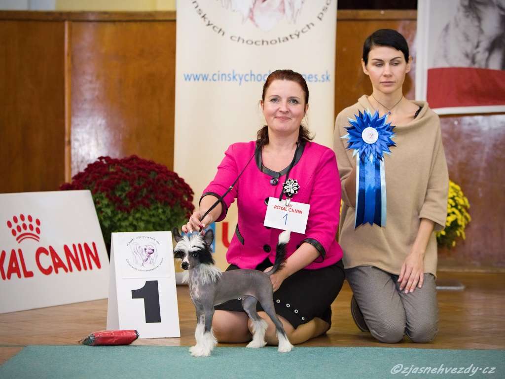 Ultimus z Jasne hvezdy